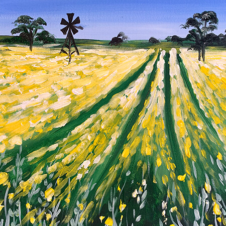 Canola Fields