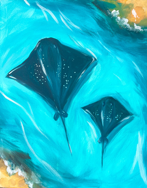 Hamelin Bay Stingrays