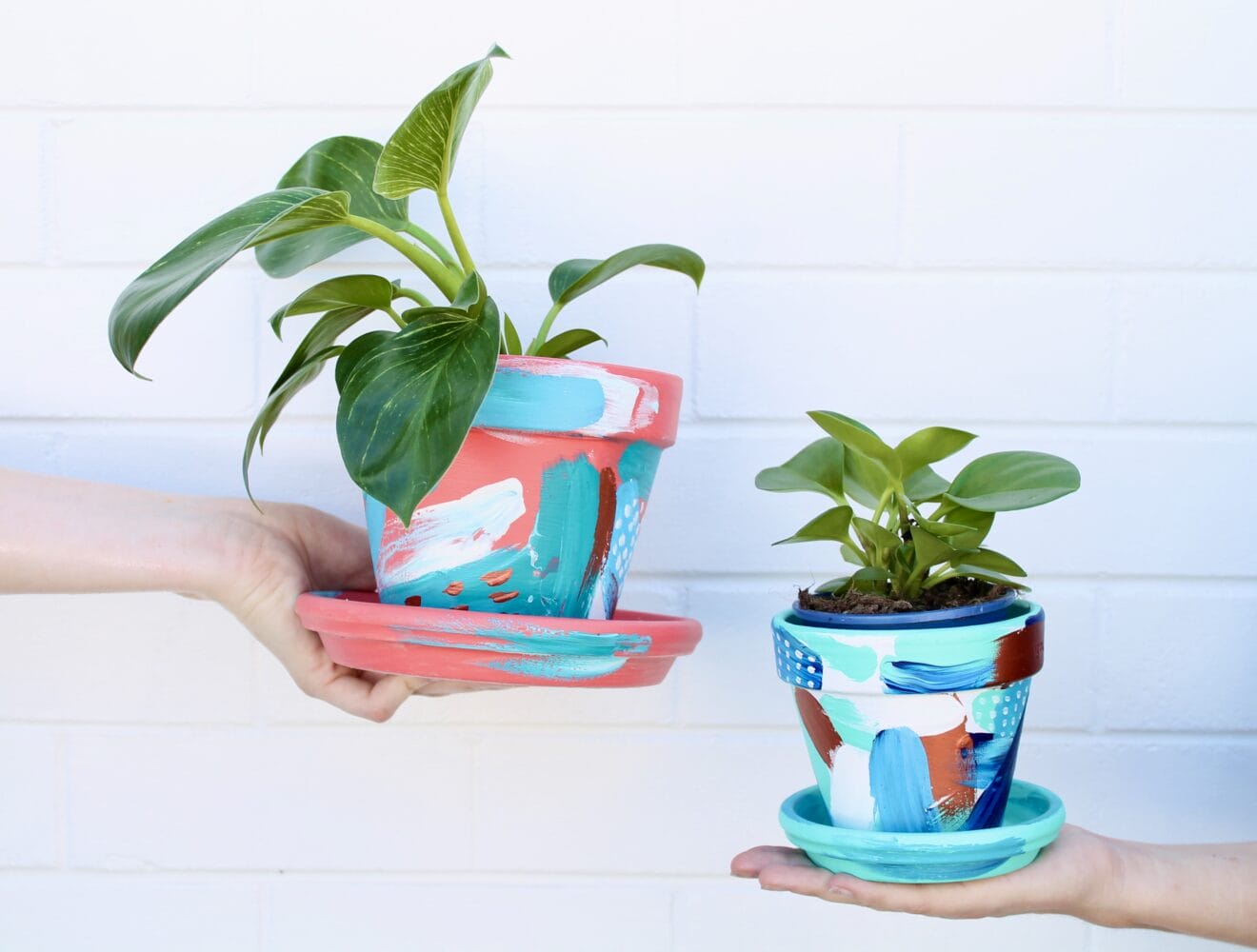 Get Potted: Family Class